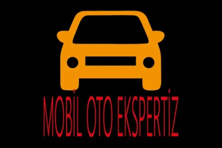 Motor Performans Test